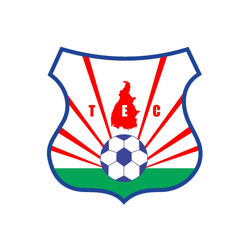 tec (1)